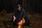 A black-robed monk sits by a fire in the forest and looks into a divination ball. Mysticism and magic, sorcerers and witches 3