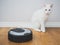 Black robotic vacuum cleaner.