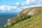 Black Rock Limestone, Rhossili Bay, Gower Peninsula, Wales