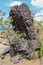 Black rock from solidified lava. Abstract shape of huge black stone. Withered tropical vegetation due to tropical sun. Boulder.