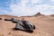 Black rocks and the ruins of ancient watchtower at the historical site of Yang Pass, in Yangguan, Gansu, China