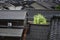 Black rooftops in Kanazawa city, Japan