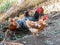 Black rooster with big red crest surrounded by four chickens on a farm