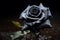 Black rose 135 mm macro. Gothic valentine