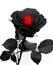 Black rose with heart