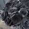 Black roses