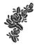 Black roses embroidery on white background. ethnic flowers neck line flower design graphics fashion wearing