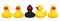 Black rubber duck among yellow rubber ducks. The ugly duckling c