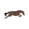 Black running horse, equestrian professional sport vector Illustration