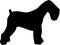 Black Russian Terrier silhouette black