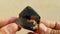 Black rutile quartz specimen closeup