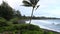 The black sand beach of Hana Bay lined with the rainforest with gentle waves rolling in in Hana, Maui