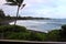 The black sand beach of Hana Bay lined with the rainforest with gentle waves rolling in in Hana, Maui