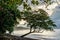 Black sand volcanic beach in Tangkoko National Park. Early fogy morning on the coast of Tangkoko National Park. Sulawesi.