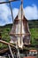 Black Scabbard drying in the sun