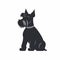 Black Schnauzer Icon: Simplistic Cartoon Art Deco Silhouette Drawing