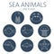 Black sea animal set in outlines