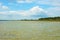 Black Sea foreland landscape. Green water surface, forest on horizont line and blue sky with clouds.