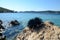 Black sea urchin on the rock with water on behind. Wildlife in the sea. Close up of sea urchin on stones at summer day. Colorful u