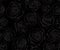 Black seamless pattern with gray line roses