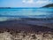 Black seaweed on the beach