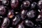 Black Seedless Grapes