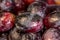 Black Seedless Table Grapes