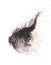 Black Sesame seeds flying explosion, black grain wave floating. Abstract cloud fly splash in air. Sesame seed is material food.