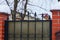 Black sharp iron bars on the metal gates and part of a brick fence in white snow