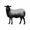 Black Sheep Silhouette On Clean White Background