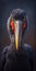 Black Shoebill Stork with Orange Beak, Tilted Head, Looking Aggressively Directly at Camera AI Generative