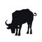 Black silhouette of african buffalo on white background. Isolated bull icon. Wild animals of Africa. Savannah nature