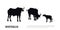 Black silhouette of african buffalo on white background. Isolated scene with bull family. Landscape with wild animals