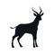 Black silhouette of african gazelle on white background. Isolated antelope icon. Wild animals of Africa. Savannah nature