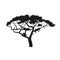 Black silhouette of african tree with lions. Isolated image of savannah animals. Forest landscape of Africa