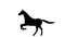 Black silhouette of animated galloping horse. Alpha channel. Alpha matte. 4K.