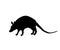 Black silhouette of armadillo. Isolated image on white background. Animal of North America