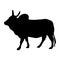 black silhouette of bull zebu on white background of vector illustration