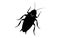 Black silhouette of a cockroach isolated on white background. Vector illustration. Top view. Pest control and