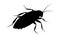 Black silhouette of a cockroach on white background. Vector illustration. Pest control and infestation concept for