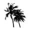 Black silhouette coconut tree swayed by the wind, isolated natural plant sign, vector