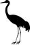 Black silhouette of Common crane isolated on white background