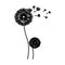 black silhouette couple dandelion and fly petals