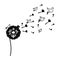 black silhouette dandelion with fly birds