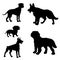 Black silhouette of dogs Dachshund, Dalmatian, Doberman