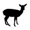 Black silhouette of fawn on white background illustration