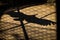 Black silhouette of flying falcon behind big metal cage grid in zoo