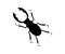 Black silhouette of a horned beetle