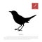 Black silhouette of a japanese robin