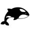 Black silhouette killer whale. Flat design for poster or t-shirt. Vector illustration